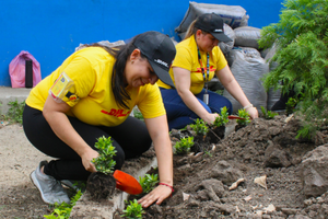 VOLUNTARIADO CORPORATIVO